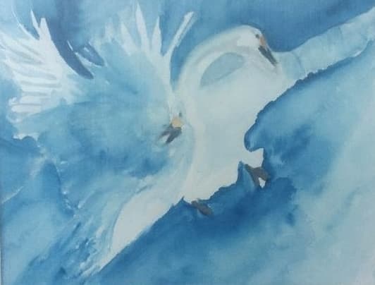 Watercolor painting of two white swans with spread wings against a blue, watery background.